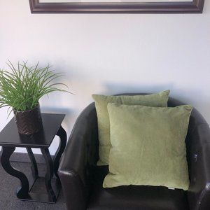 Olive Green Velvet Throw Pillows